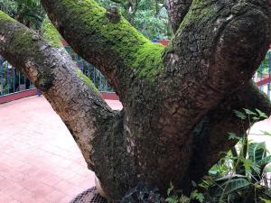 Gallery image of NELSPRUIT MHLANGENI GUEST HOUSE in Nelspruit