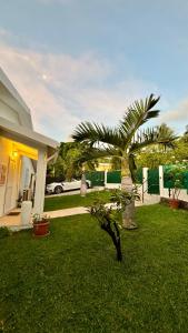 Zahrada ubytování Luxueuse Villa - Jardin - Piscine - Jacuzzi - 3min du lagon