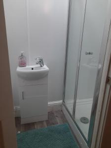 La salle de bains est pourvue d'un lavabo et d'une douche. dans l'établissement Private Stay with Toilet and Kitchen, 