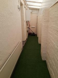 un couloir avec un sol vert et des murs blancs dans l'établissement Private Stay with Toilet and Kitchen, 