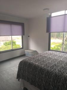 - une chambre avec un lit et 2 grandes fenêtres dans l'établissement Naturaleza viva Algarrobo, à San Antonio