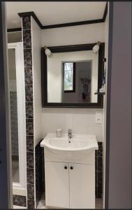 uma casa de banho com um lavatório branco e um espelho. em LE CISE EAU À bois em Le Bois de Cise
