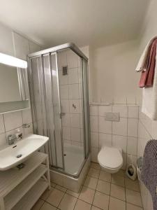 a bathroom with a shower and a toilet and a sink at Appartement élégant & ensoleillé in Lausanne