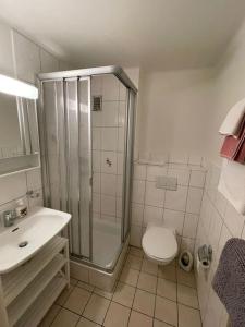 Appartement élégant & ensoleillé في لوزان: حمام مع دش ومرحاض ومغسلة