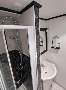 a bathroom with a shower and a toilet and a sink at LE CISE EAU À bois in Le Bois de Cise