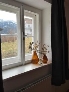 Nespecifikovaný výhled na hory nebo výhled na hory při pohledu z apartmánu