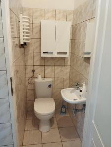 a bathroom with a toilet and a sink at Apartament dla par in Olesno