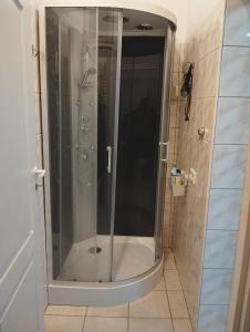 La salle de bains est pourvue d'une douche avec une porte en verre. dans l'établissement Apartament dla par, à Olesno