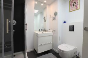 y baño con aseo, lavabo y ducha. en Apartamento Superior Centro Madrid en Madrid
