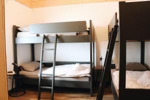 a room with two bunk beds and a ladder at Maison des Sports in Villars-sur-Ollon