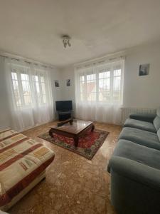 ein Wohnzimmer mit einem Sofa und einem Couchtisch in der Unterkunft appartement de 50m2 grand et spacieux avec jardin in Viry-Châtillon