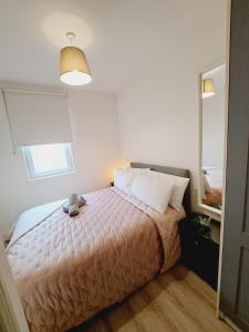 ein Schlafzimmer mit einem Bett und einem großen Spiegel in der Unterkunft Apartment near Trinity College in Dublin