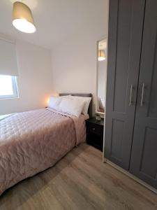 Apartment near Trinity College في دبلن: غرفة نوم بسرير ومرآة كبيرة