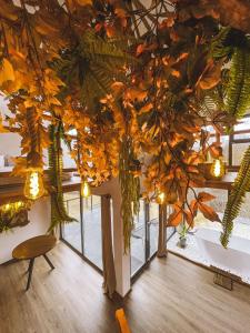 a room with a bunch of plants hanging from a ceiling at Armonia by NorAtlas Heritage - Adults Only in Buzău