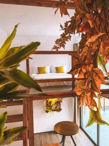 Cette chambre comprend des lits superposés et une plante. dans l'établissement Armonia by NorAtlas Heritage - Adults Only, à Buzău 2 autres photos