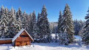 a cabin in a snowy forest with snow covered trees at Perníková chalúpka 