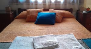 ein Bett mit einem blauen Kissen und Kissen darauf in der Unterkunft Rancho Aparte II in Salta