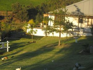 a dog laying on the grass in front of a house at Belcharto Accommodation in Stellenbosch