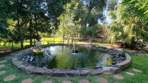 Garden sa labas ng Casa na Árvore