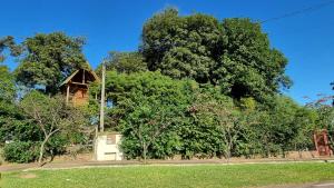 Garden sa labas ng Casa na Árvore