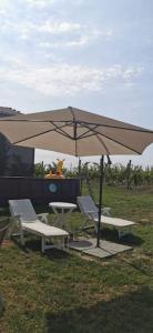 una mesa de picnic con sombrilla y columpio en Cascina Olivetta -sleep in winery, en Moncalvo