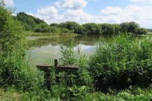 a river with a bench in the middle of a field at Chalet cozy au milieu des bois in Ménestreau-en-Villette