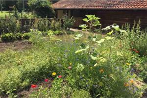 a garden in front of a house with flowers at Chalet cozy au milieu des bois in Ménestreau-en-Villette