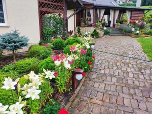 a garden of flowers in front of a house at Dom Kowala in Jankowce