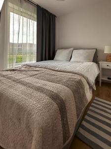 - une chambre avec un grand lit et une fenêtre dans l'établissement Rest In Sanok Apartment, à Sanok