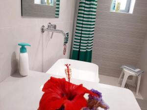 Et badeværelse på Cozy town house + 23 billeder