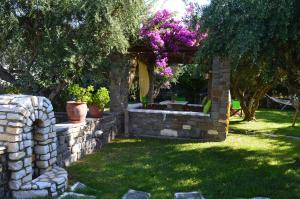 a stone wall in a yard with potted plants at Pension Sofia in Parikia