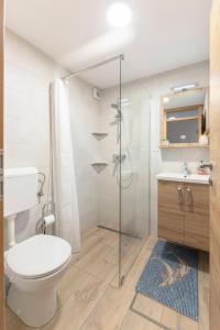 a bathroom with a toilet and a glass shower at Apartma Naravni biser in Brezje