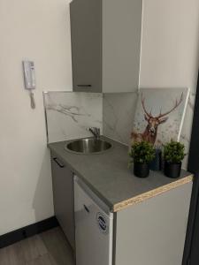 a bathroom counter with a sink and two potted plants at P Williams in Catford