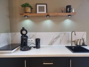 a kitchen counter with a coffee maker and a sink at Chalet Musa in Musselkanaal