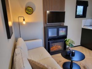a living room with a couch and a fireplace at Chalet Musa in Musselkanaal