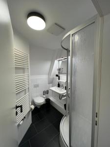 a bathroom with a toilet and a sink and a shower at Studiowohnung 6 in Buxtehude in Buxtehude
