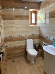 a bathroom with a toilet and a sink at Сининкова Къща in Melnik