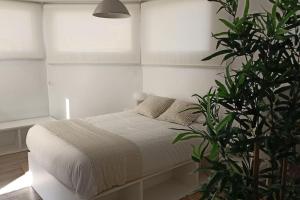 Una cama en una habitación blanca con una planta. en Salitre Málaga Center, en Málaga