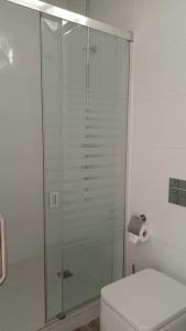 y baño con ducha de cristal y aseo. en Salitre Málaga Center, en Málaga
