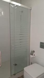 una ducha de cristal en un baño con inodoro en Salitre Málaga Center, en Málaga