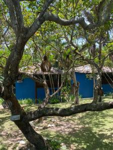 un árbol con una casa en el fondo en Pousada Jacarandá by Rivaj, en Trancoso