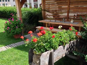 Zahrada ubytování Appartamento Rose Di Bosco
