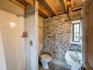 een badkamer met een toilet en een wastafel bij Ventry Farm - Shamrock Cottage in Ventry