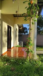 une terrasse couverte à l'avant d'une maison avec un arbre dans l'établissement La casa de la Gaviota, à Siguatepeque