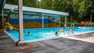 a group of people playing in a swimming pool at Vakantiepark De Ossenberg in Overberg