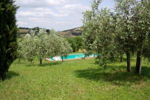 an apple orchard with trees and a swimming pool at Villa degli Artisti by Mmega in Canonica
