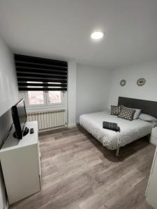 1 dormitorio con 1 cama y TV en Apartamento en Zaragoza junto a la Estación Delicias en Zaragoza