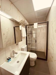een badkamer met een wastafel, een toilet en een douche bij Hodegon Suite Hotel in Istanbul