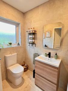 a bathroom with a toilet and a sink and a window at The Starlings Country House in Wexford