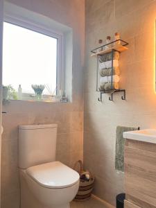 a bathroom with a toilet and a window and a sink at The Starlings Country House in Wexford